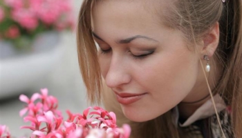 Lilien4UMein