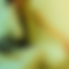 Kinkytrip