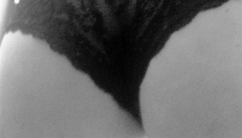 Red-Desire