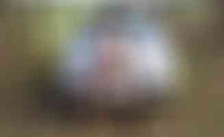 AnneDD28