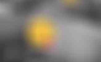 DarkShadow0405