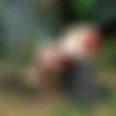 la_perla1