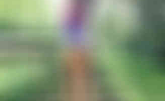 NalaBam