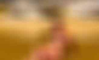 Pee_Girl