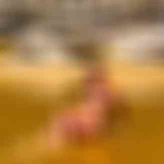 Pee_Girl Vorschaubild