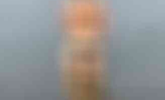 sperma_Mieze