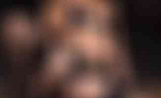 Tiny_Loly