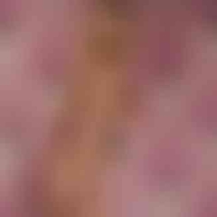 Tyra_Kadney