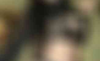 Zarina_de_roza