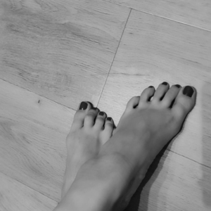 Laurora