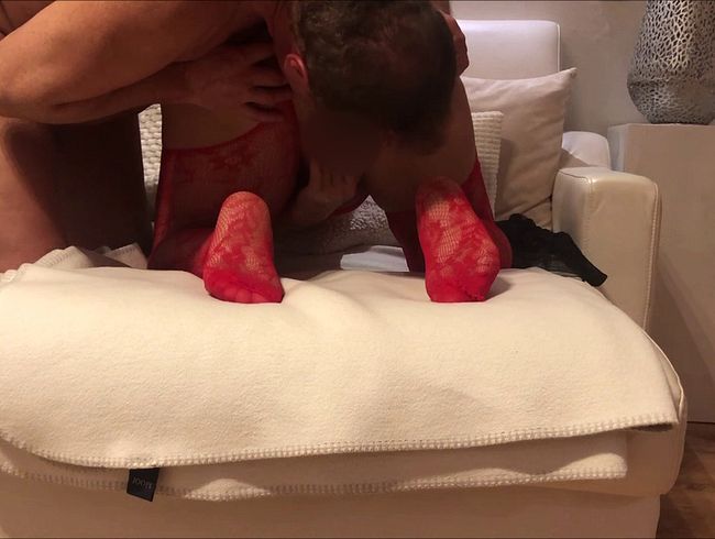 spri**iger Sylvester