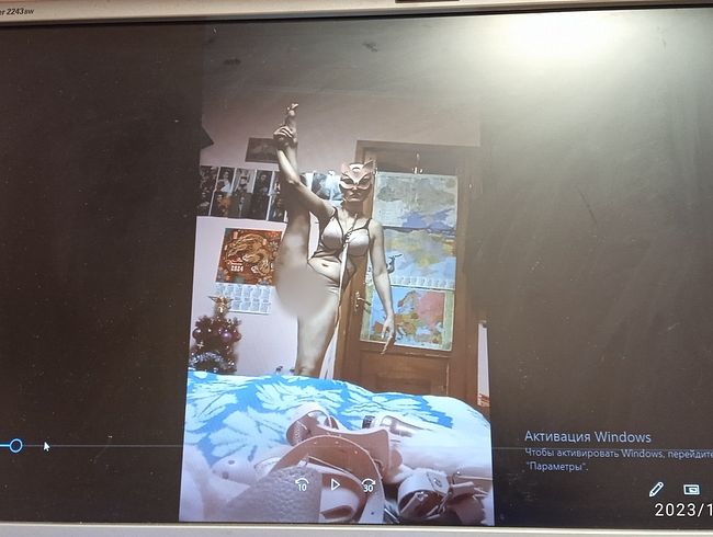 Die Neujahrskatze tanzt und macht langsam Streiche))))))))))))))))))))))))))))))