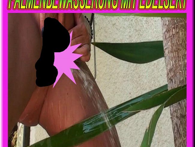 Palmenbewässerung mit Edelsekt