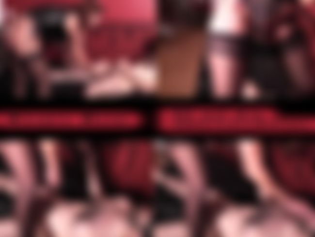 NS auf den skla*enschw**z