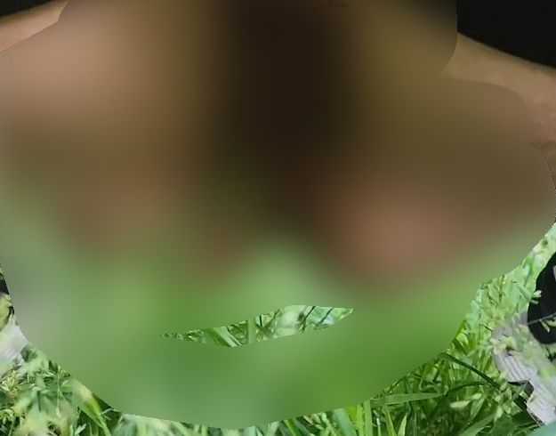 Upsi Natur(pin**ln)sekt