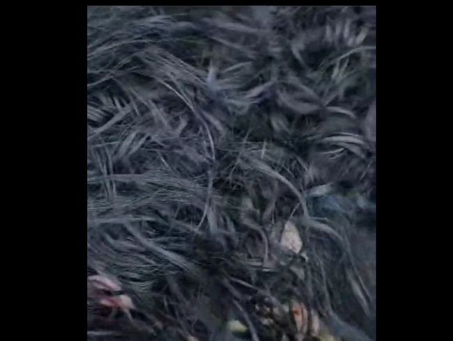 Geiles Outdoor Date mit Kehlenfi** ?