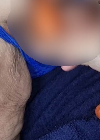 Karotte dog*y probiert