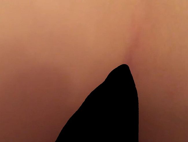 dog*y ist mein Hobby 