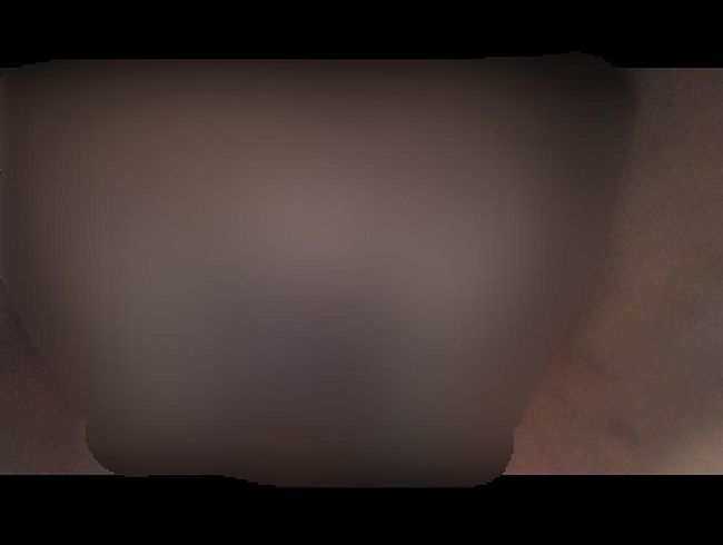 Schnell mit ***l dil*o gefi**t