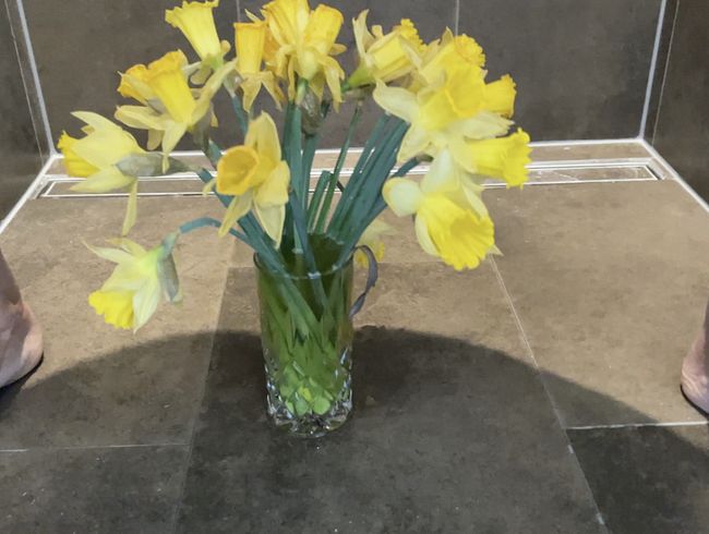 Tulpenzeit ist pi**zeit