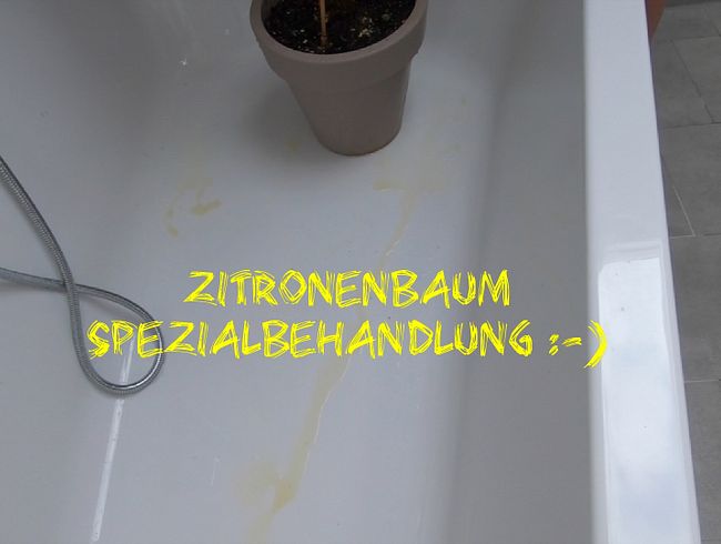 Zitronenbaum Spezialbehandlung (mit meiner gelben pi**e)