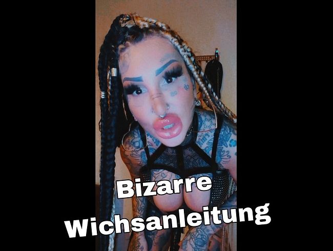 Bizarre wi**sanleitung
