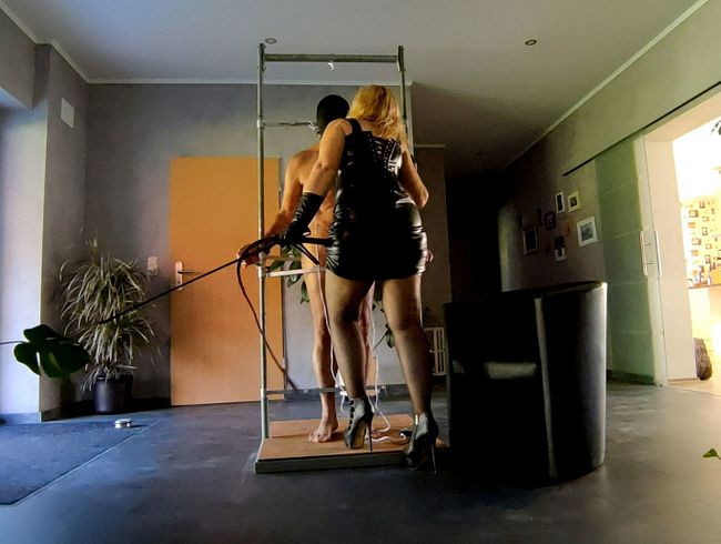 Strom für die Nipel und die Eier ud die peit**he für den ars**