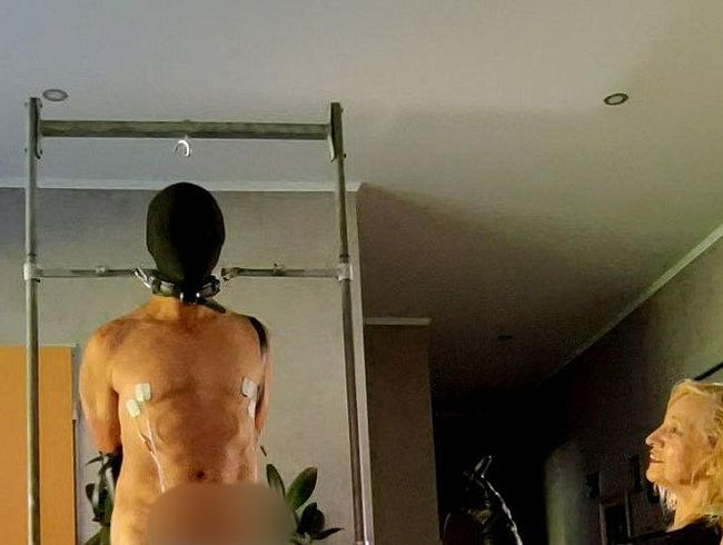 Strom für die Nipel und die Eier