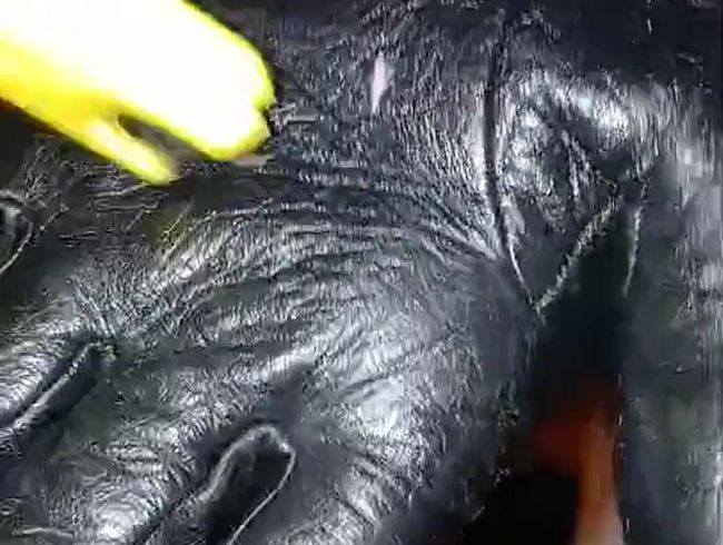 Komm her mein Pediküreeimer