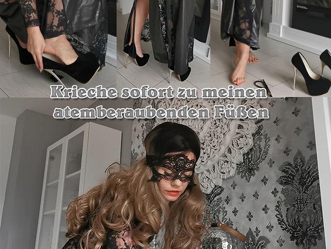 Krieche sofort zu meinen atemberaubenden Füßen