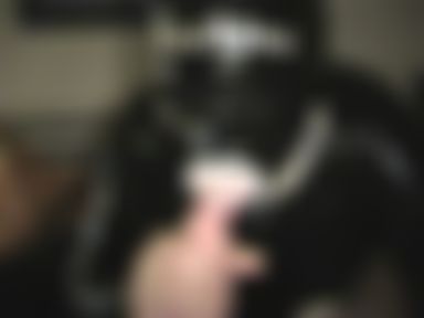 +++ Drecksau - bl*wjob +++