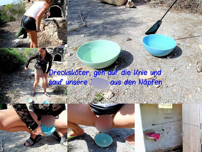 Drecksköder geh auf die Knie und unsere pi**e aus den Näpfen