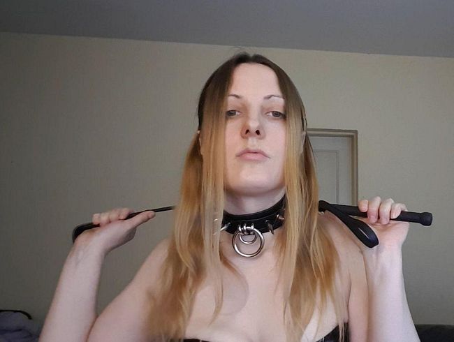 Fürze für dich Drecksau