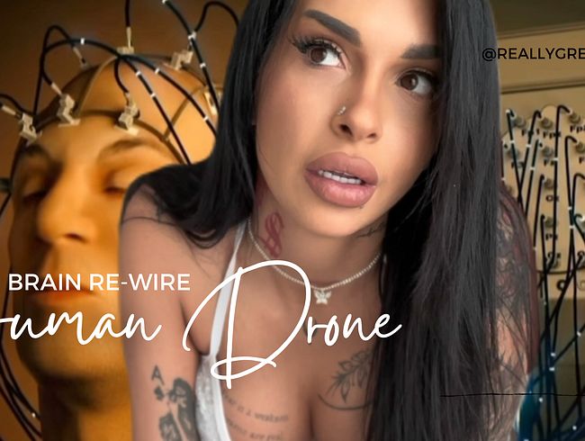 Menschliche Drohne: Gehirn neu verkabeln