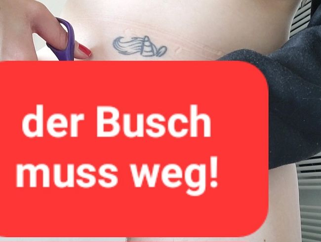 Der Busch muss weg! Vorne und hinten rasiert!