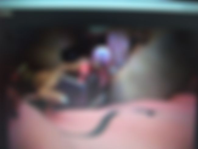 lö**er mit dem Vogelvib gefi**t