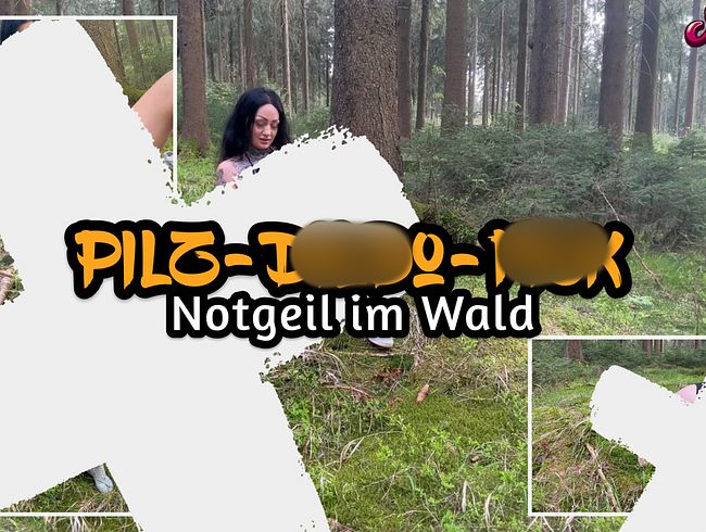 Pilz-dil*o-fi** - NOTGEIL IM WALD