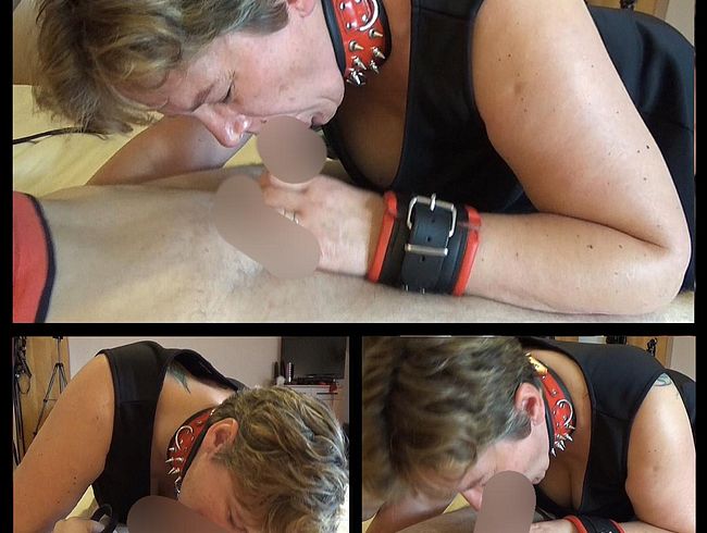 Zu Dienen ist meien Aufgabe