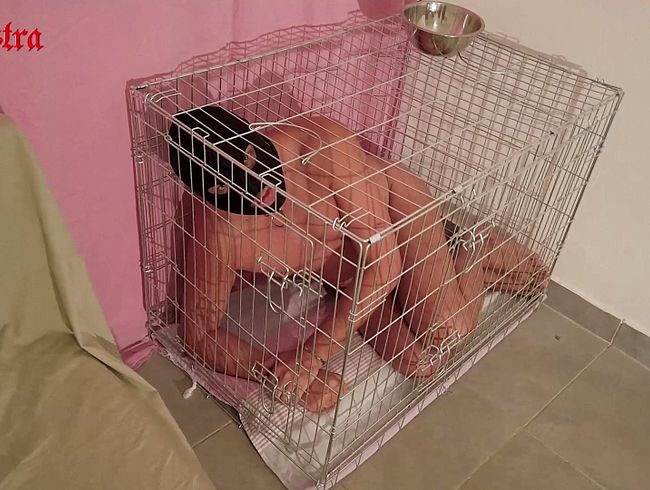 Herrin Sadistras durstige Schlampe im Käfig