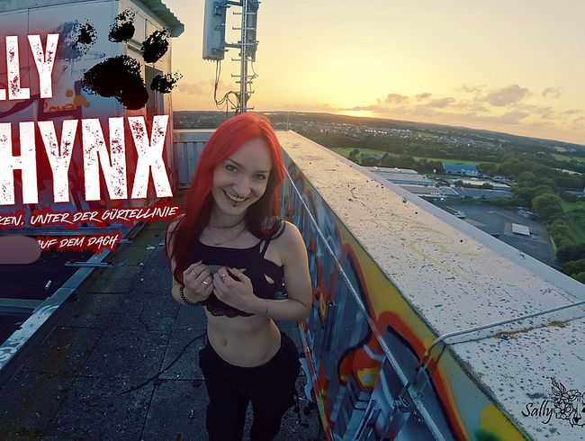 bl*wjob auf dem Dach - Über den Wolken, unter der Gürtellinie