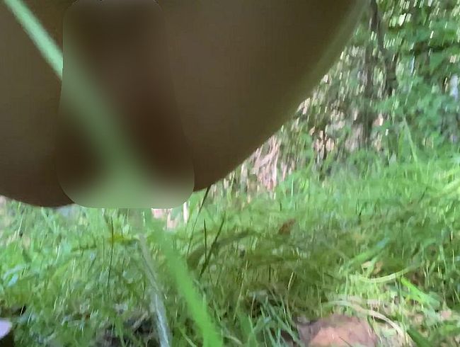 Geiler Wald pi** ( Schöner Sommer Waldpi**, wurde dabei beobachtet)