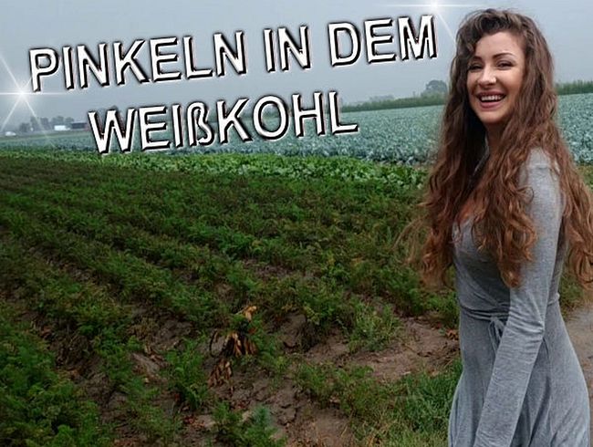 pin**lN IN DEM WEIßKOHL