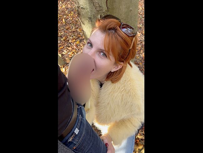 Autumn Fire — Lost in the Woods