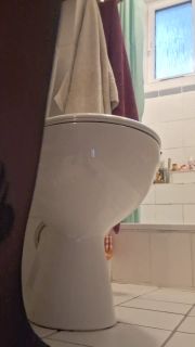 Wanna make a pee?